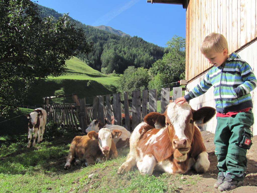 Apartament Lampeterhof Matrei in Osttirol Zewnętrze zdjęcie