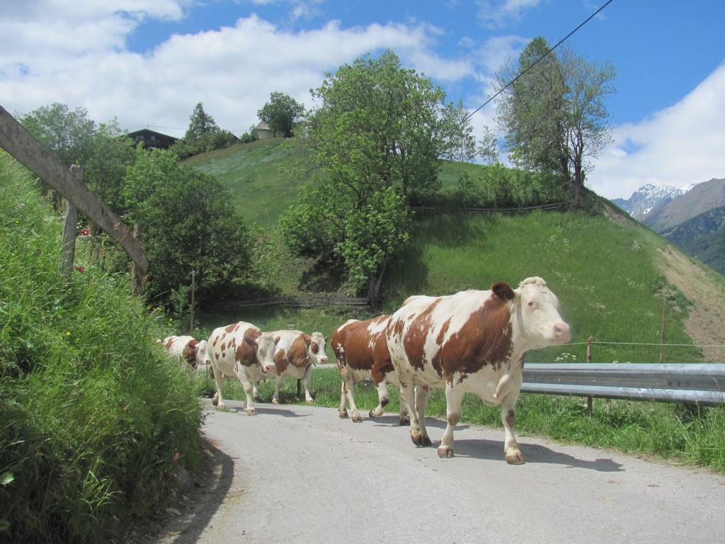 Apartament Lampeterhof Matrei in Osttirol Zewnętrze zdjęcie