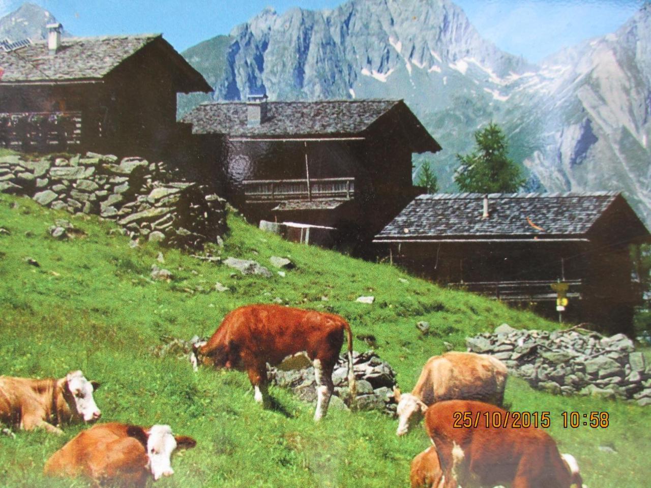 Apartament Lampeterhof Matrei in Osttirol Zewnętrze zdjęcie
